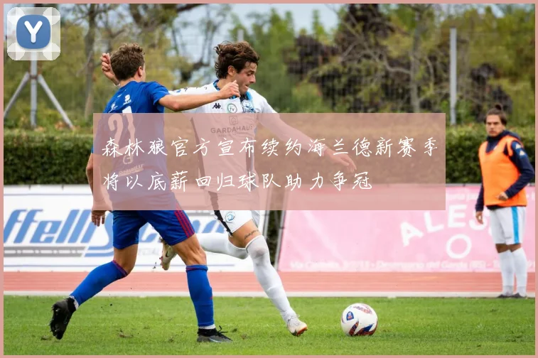 森林狼官方宣布续约海兰德新赛季将以底薪回归球队助力争冠